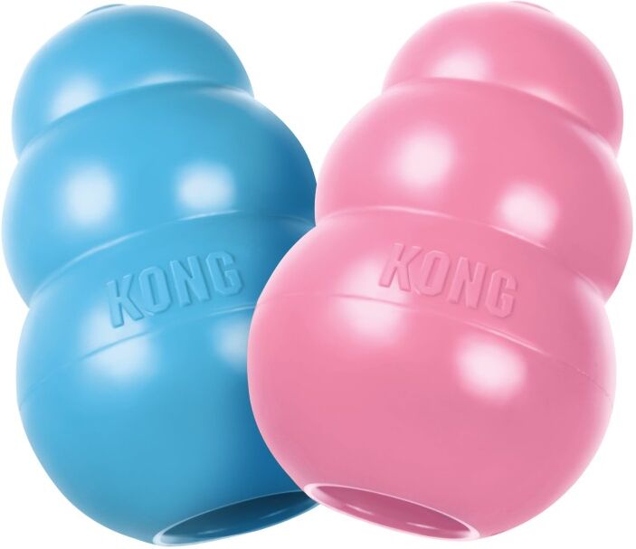 Real Pet Store Kong Puppy Dog Toy for Play and Teething Relief - Large