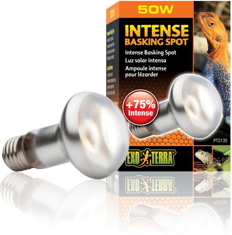 Real Aquatics Exo Terra Intense Basking Spot 50w
