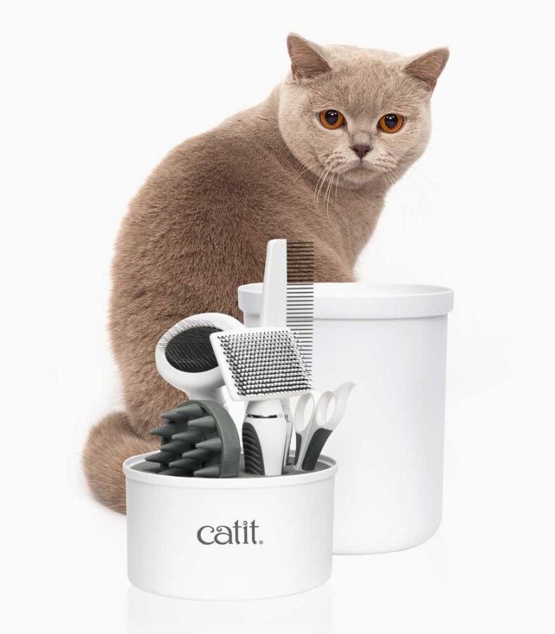 Real Pet Store Catit Cat Short Hair Grooming Kit