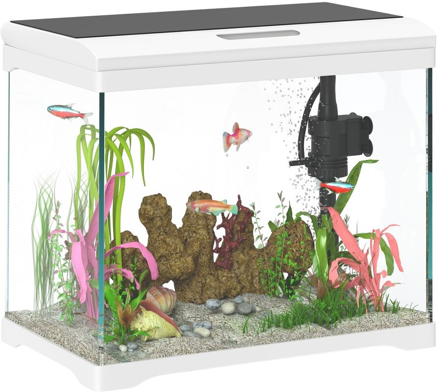 MHSTAR UK LTD PawHut 17L Fish Tank, Glass Aquarium with Filter System, LED Light, Water Pump, Fish Tank Starter Kits for Betta, Goldfish, Shrimps, Cold Water Fish,
