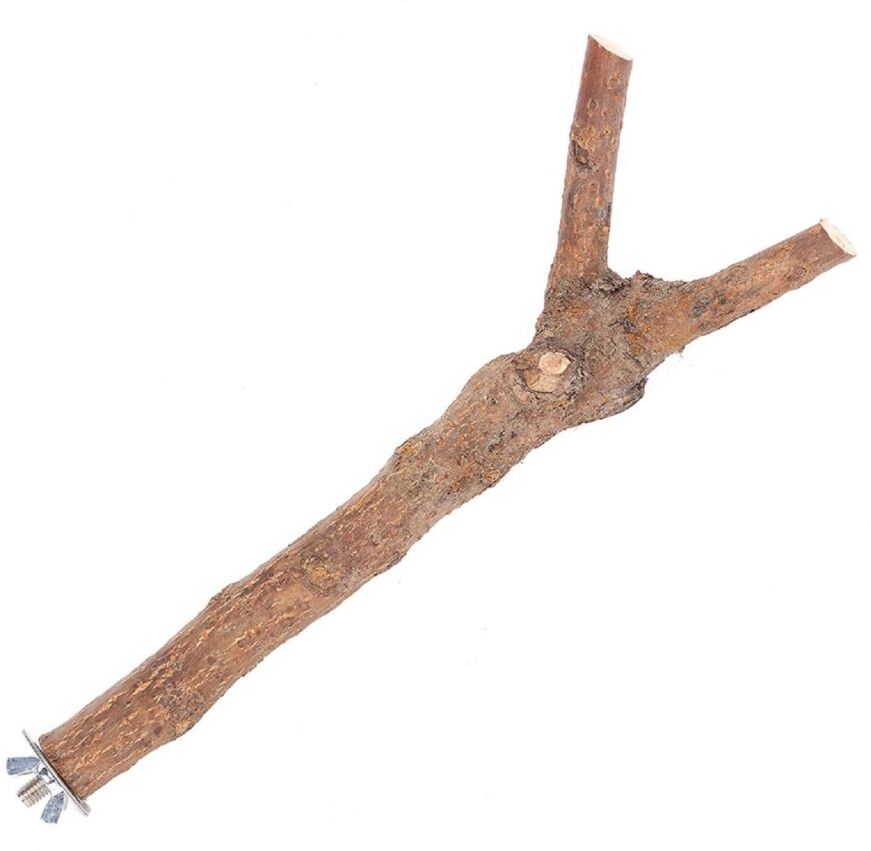 Real Pet Store Happt Pet Bird Branch Perch 3 Sizes - Large