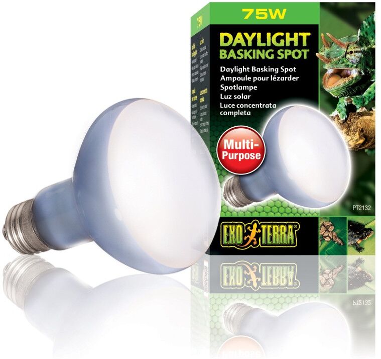 Real Aquatics Exo Terra Daylight Basking Spot 75w