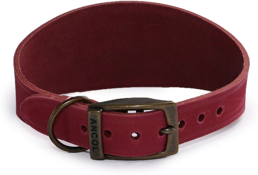 Real Pet Store Ancol Timberwolf Greyhound & Whippet Leather Collars Raspberry 2 Sizes - Size 2 (30-34cm)