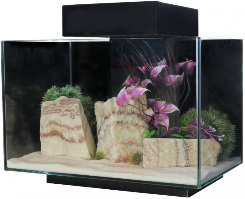 Real Aquatics Aqua One Platform 21 Aquarium Fish Tank 40cm 21L
