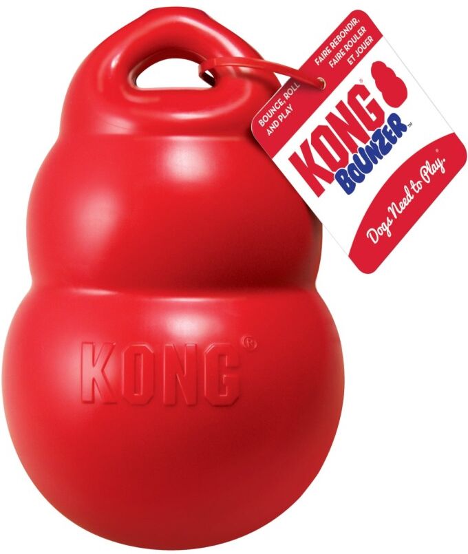 Real Pet Store Kong Bounzer Dog Food Dispenser for Treats - Large