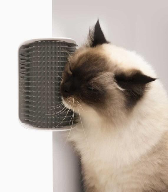 Real Pet Store Catit Senses 2.0 Cat Self Groomer with Catnip