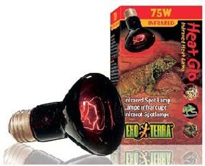 GHB Traders Limited Exo Terra Heatglo Infrared Lamp R20 75w - 544154