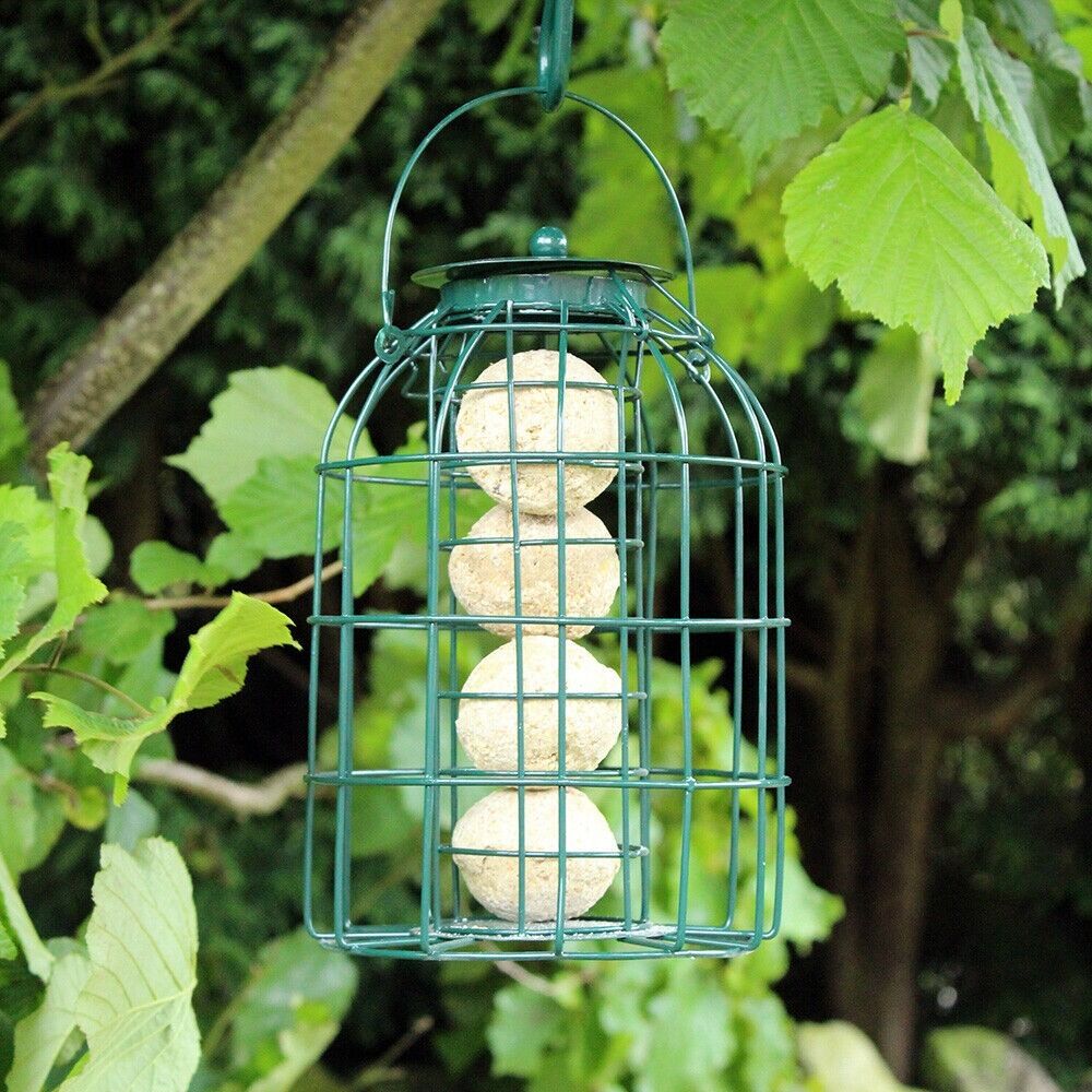 aroonz trading limited Kingfisher Large Suet Fat ball Feeder - wild birds - WITH SQUIRREL GUARD