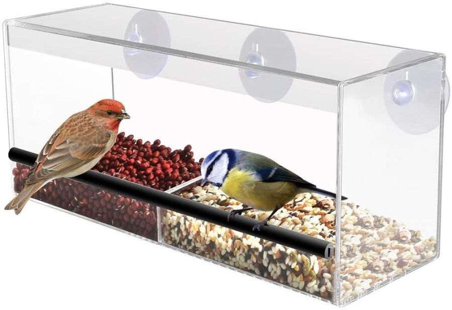 MantraRaj Infotech LTD. MantraRaj Clear Window Bird Feeder Wild Table Hanging Suction Perspex Transparent Viewing With Drain Holes Seed Nut Feeding Station for Birds A Uniq