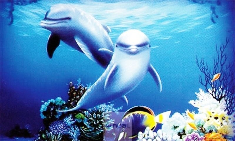 Real Aquatics Penn Plax 3D HD Aquarium Background Dolphin 51 x 31cm