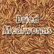 GHB Traders Limited Supa Dried Mealworms - 5kg - 236808
