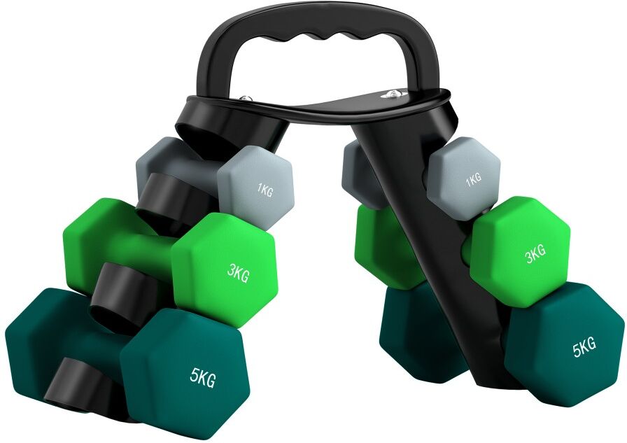 MHSTAR UK LTD SPORTNOW Dumbbells Set with Carry Storage Rack, Set of 6 Weights for Home Gym Kettlebell Training Weight Lifting Exercise, 2 x 1kg, 2 x 3kg, 2 x 5kg
