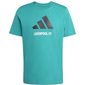 Adidas Liverpool FC T-shirt 2024/25 Vert 2XL Male Adidas Liverpool FC T-shirt 2024/25 Vert 2XL Male
