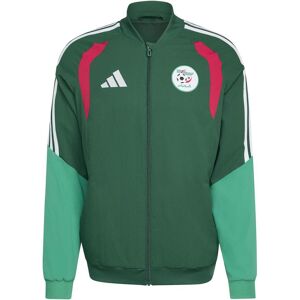 Adidas Veste de présentation Algérie Coupe du Monde 2026 Vert 3XL Male Adidas Veste de présentation Algérie Coupe du Monde 2026 Vert 3XL Male