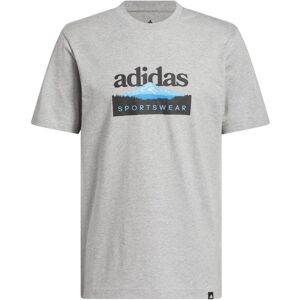 T-shirt adidas Sportsman Mountain Graphic Gris 2XL Male T-shirt adidas Sportsman Mountain Graphic Gris 2XL Male