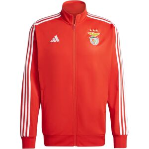 Adidas Sweat jacket Benfica Lisbonne DNA 2024/25 Rouge L Male Adidas Sweat jacket Benfica Lisbonne DNA 2024/25 Rouge L Male