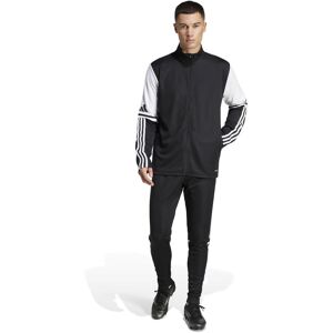 Training Trousers adidas Squadra25 Noir L Tall Male Training Trousers adidas Squadra25 Noir L Tall Male