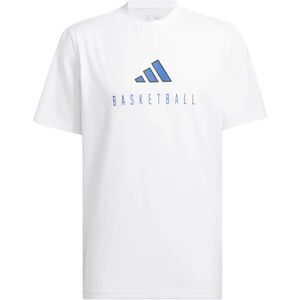 T-shirt adidas Worldwide Hoops Logo Performance Graphic Blanc M Male T-shirt adidas Worldwide Hoops Logo Performance Graphic Blanc M Male