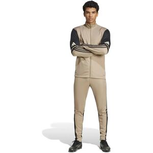 Training Trousers adidas Squadra25 Marron M Male Training Trousers adidas Squadra25 Marron M Male