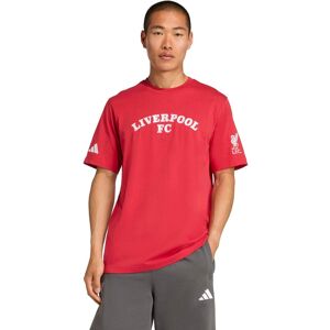 Adidas Liverpool FC T-shirt Rouge L Male Adidas Liverpool FC T-shirt Rouge L Male