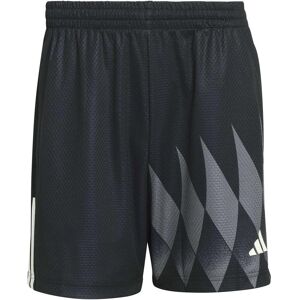 Short adidas House Of Tiro X Common Noir 2XL Male Short adidas House Of Tiro X Common Noir 2XL Male