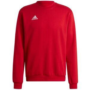 Sweatshirt adidas Entrada 22 Rouge L Male Sweatshirt adidas Entrada 22 Rouge L Male