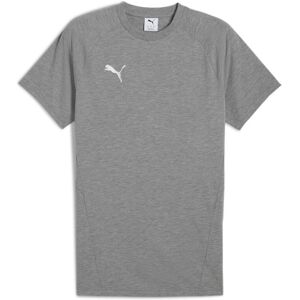 T-shirt Puma TeamEvostripe Gris XL Male T-shirt Puma TeamEvostripe Gris XL Male