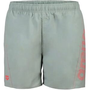 Swim shorts Arena Fundamentals Logo R Vert M Male Swim shorts Arena Fundamentals Logo R Vert M Male