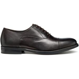 Derbie Geox Barberigo Marron 42.5 Male Derbie Geox Barberigo Marron 42.5 Male