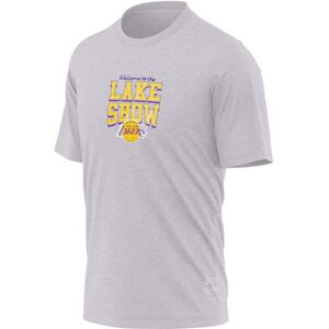 Mitchell & Ness T-shirt Los Angeles Lakers Blank Traditional Gris M Male Mitchell & Ness T-shirt Los Angeles Lakers Blank Traditional Gris M Male
