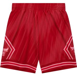Mitchell & Ness Short Chicago Bulls NBA Monochrome Swingman 2008 Rouge L Unisex Mitchell & Ness Short Chicago Bulls NBA Monochrome Swingman 2008 Rouge L Unisex