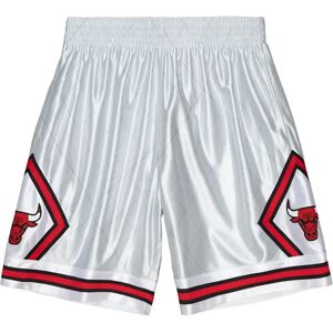 Mitchell & Ness Short Chicago Bulls NBA 75th Platinum Swingman 1997 Argenté XL Unisex Mitchell & Ness Short Chicago Bulls NBA 75th Platinum Swingman 1997 Argenté XL Unisex