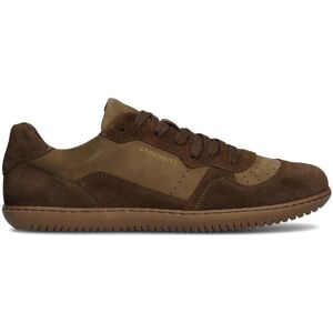 Women's Trainers Groundies Nova GO1 Marron 36 Female Women's Trainers Groundies Nova GO1 Marron 36 Female