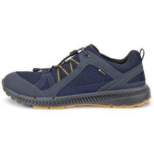 Trainers Ecco Terracruise II Bleu 46 Male Trainers Ecco Terracruise II Bleu 46 Male