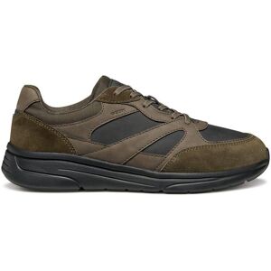 Trainers Geox Klaiver Vert 46 Male Trainers Geox Klaiver Vert 46 Male
