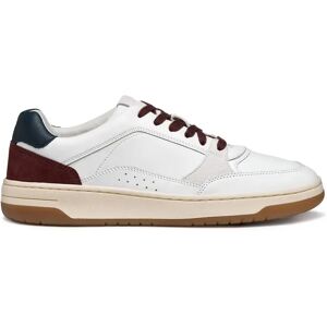 Trainers Geox Sedral Court Blanc 43 Male Trainers Geox Sedral Court Blanc 43 Male