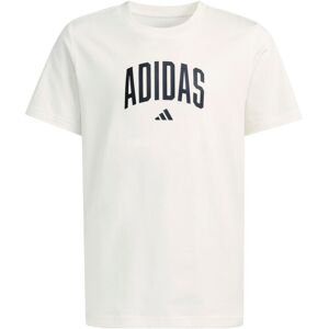 Kid's T-shirt adidas Collegiate Graphic Blanc 9/10 years Unisex Kid's T-shirt adidas Collegiate Graphic Blanc 9/10 years Unisex