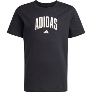 Kid's T-shirt adidas Collegiate Graphic Noir 9/10 years Unisex Kid's T-shirt adidas Collegiate Graphic Noir 9/10 years Unisex