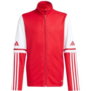 Children's training jacket adidas Squadra25 Rouge 11/12 years Unisex Children's training jacket adidas Squadra25 Rouge 11/12 years Unisex