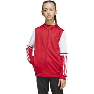 Hooded sweatshirt for kids adidas Squadra25 Rouge 5/6 years Unisex Hooded sweatshirt for kids adidas Squadra25 Rouge 5/6 years Unisex