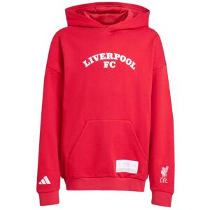 Adidas Liverpool FC Kids Tracksuit Rouge 11/12 years Unisex Adidas Liverpool FC Kids Tracksuit Rouge 11/12 years Unisex