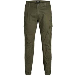 Large pants Jack & Jones Jjipaul Jjflake Akm Vert 42x36 Male Large pants Jack & Jones Jjipaul Jjflake Akm Vert 42x36 Male