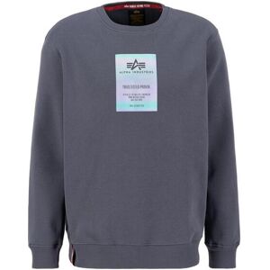Sweatshirt Alpha Industries Rainbow Refl. Label Gris XS Male Sweatshirt Alpha Industries Rainbow Refl. Label Gris XS Male