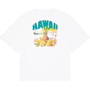 Printed t-shirt on the back Alpha Industries Hawaii Aloha Blanc M Male Printed t-shirt on the back Alpha Industries Hawaii Aloha Blanc M Male