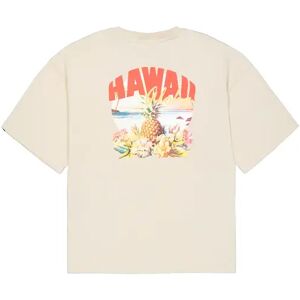 Printed t-shirt on the back Alpha Industries Hawaii Aloha Blanc M Male Printed t-shirt on the back Alpha Industries Hawaii Aloha Blanc M Male