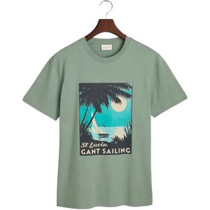 T-shirt Gant Placed Graphic Vert L Male T-shirt Gant Placed Graphic Vert L Male