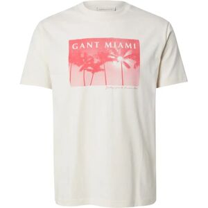 T-shirt Gant Graphic Beige M Male T-shirt Gant Graphic Beige M Male