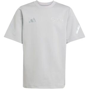 Adidas Mercedes AMG kids' T-shirt Petronas Gris 9/10 years Unisex Adidas Mercedes AMG kids' T-shirt Petronas Gris 9/10 years Unisex