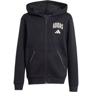 Child hoodie adidas Collegiate Typography Noir 13/14 years Unisex Child hoodie adidas Collegiate Typography Noir 13/14 years Unisex