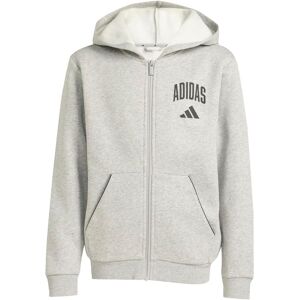 Child hoodie adidas Collegiate Typography Gris 13/14 years Unisex Child hoodie adidas Collegiate Typography Gris 13/14 years Unisex